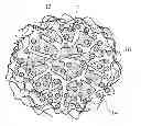 Fig. 01 - METHOD FOR TISSUE ENGINEERING