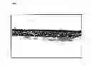 Fig. 05 - ECTOCORNEA-LIKE SHEET AND METHOD OF CONSTRUCTING THE SAME