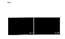 Fig. 08 - ECTOCORNEA-LIKE SHEET AND METHOD OF CONSTRUCTING THE SAME