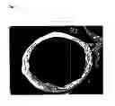 Fig. 12 - ECTOCORNEA-LIKE SHEET AND METHOD OF CONSTRUCTING THE SAME