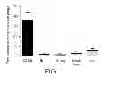Fig. 02 - Lymphatic zip codes in tumors and pre-malignant lesions