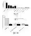 Fig. 05 - Lymphatic zip codes in tumors and pre-malignant lesions