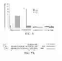 Fig. 06 - Lymphatic zip codes in tumors and pre-malignant lesions