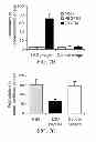 Fig. 07 - Lymphatic zip codes in tumors and pre-malignant lesions
