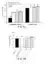 Fig. 08 - Lymphatic zip codes in tumors and pre-malignant lesions