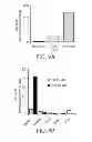 Fig. 09 - Lymphatic zip codes in tumors and pre-malignant lesions
