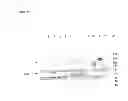 Fig. 34 - Truncated HIV envelope proteins (ENV), methods and compositions related thereto