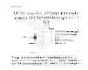 Fig. 74 - Truncated HIV envelope proteins (ENV), methods and compositions related thereto