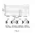 Fig. 08 - NOVEL COCHLEATE FORMULATIONS