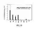 Fig. 12 - NOVEL COCHLEATE FORMULATIONS
