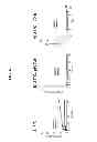Fig. 07 - NANOPARTICLE ARSENIC-PLATINUM COMPOSITIONS