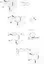 Fig. 144 - Methods, compounds, compositions and vehicles for delivering 3-amino-1-propanesulfonic acid