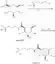 Fig. 145 - Methods, compounds, compositions and vehicles for delivering 3-amino-1-propanesulfonic acid