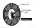 Fig. 01 - Nanotechnology Based Medicine for Biodefense