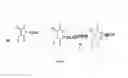 Fig. 10 - Nanotechnology Based Medicine for Biodefense