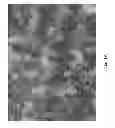Fig. 02 - SYSTEM AND METHOD FOR DELIVERING PROTEASE INHIBITORS