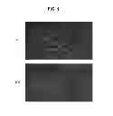 Fig. 02 - COMPOSITION FOR BONE REGENERATION