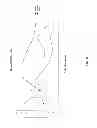 Fig. 05 - Method for stimulating retinal response using photoactive devices