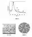 Fig. 02 - Antimicrobial compositions and uses thereof