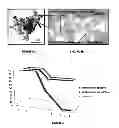 Fig. 03 - Antimicrobial compositions and uses thereof