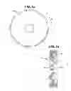 Fig. 03 - EDIBLE ANIMAL CHEW