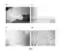 Fig. 02 - Polymers, substrates, methods for making such, and devices comprising the same