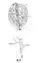 Fig. 02 - PERIODONTAL TREATMENT SYSTEM AND METHOD