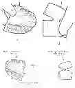 Fig. 01 - TRAINING KIT FOR DENTISTS AND ORAL SURGEONS