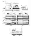Fig. 02 - Method for screening an agent preventing or treating cancer using glycyl-tRNA synthetase and cadherin