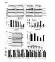Fig. 04 - Method for screening an agent preventing or treating cancer using glycyl-tRNA synthetase and cadherin