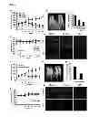 Fig. 07 - Method for screening an agent preventing or treating cancer using glycyl-tRNA synthetase and cadherin