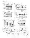 Fig. 08 - Method for screening an agent preventing or treating cancer using glycyl-tRNA synthetase and cadherin