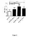 Fig. 02 - Cell mediated immune response assay with enhanced sensitivity