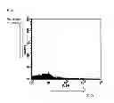Fig. 02 - Method for undifferentiated growth of mesenchymal stem cell and method for concentration of mesenchymal stem cell