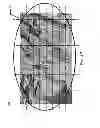 Fig. 06 - Terrestrial positioning system calibration