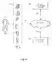 Fig. 02 - Routine estimation
