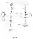 Fig. 02 - Grouping ambient-location updates