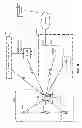 Fig. 07 - SERVER-INITIATED PAGING CYCLES