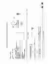 Fig. 87 - Products and processes for operations management of casino, leisure and hospitality industry
