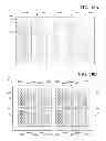 Fig. 09 - Video slot gaming machine