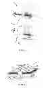Fig. 02 - DRIVE BELT COMPRISING DIFFERENT TYPES OF TRANSVERSE MEMBERS FOR A CONTINUOUSLY VARIABLE TRANSMISSION