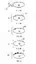 Fig. 02 - Modified carrier for silver based ethylene oxide catalyst