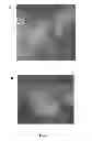Fig. 02 - Actinomycete strain composition and its use