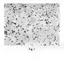 Fig. 02 - HERBICIDAL COMPOSITION COMPRISING POLYMERIC MICROPARTICLES CONTAINING A HERBICIDE