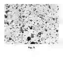 Fig. 06 - HERBICIDAL COMPOSITION COMPRISING POLYMERIC MICROPARTICLES CONTAINING A HERBICIDE