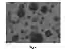 Fig. 09 - HERBICIDAL COMPOSITION COMPRISING POLYMERIC MICROPARTICLES CONTAINING A HERBICIDE