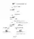 Fig. 02 - Methods and compositions for amplification and detection of MicroRNAs