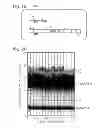 Fig. 15 - Multiplexed digital assay with data exclusion for calculation of target levels