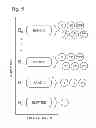 Fig. 06 - Multiplexed digital assay with specific and generic reporters