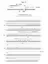 Fig. 08 - Rationally designed, synthetic antibody libraries and uses therefor